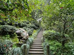 -十八棵（老龙井）御茶园(老龙井店)