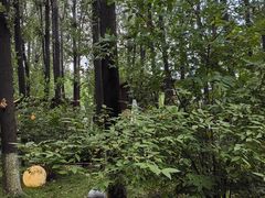 -林间山庄