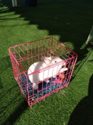 -萌宠亲子动物乐园(槐房万达店)