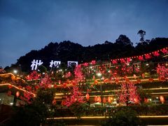 -枇杷园食为鲜火锅(南山店)