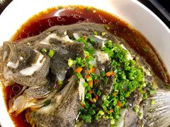 多宝鱼-盒马鲜生(杭州运河上街店)