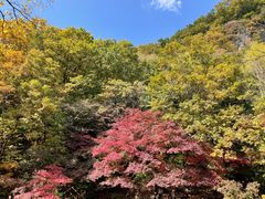 -关门山森林公园