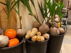 -味餐厅·海鲜·火锅·自助餐