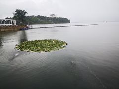 -南诏风情岛