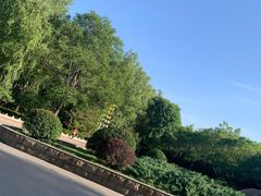 -森林公园(尖草坪区)