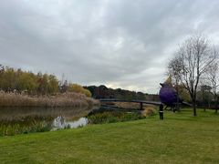 -养云安缦吧THE BAR