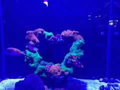 -海合安武汉极地海洋公园