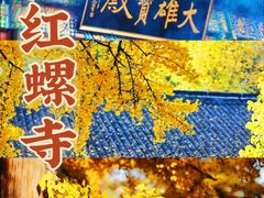-沉浸北京·团建旅行·密室剧本杀·年会会议轰趴拓展