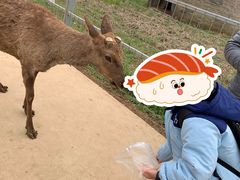 -安徽大青山野生动物世界