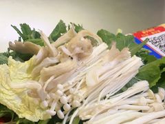 -昆明动物园