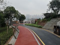 -大渡口区义渡公园