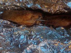 -龚海宝· 烧烤· 羊肉原切挂糊更好吃(庄市店)
