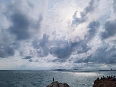 -小麦岛公园