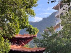 -深圳仙湖植物园