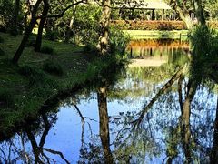 -上海共青森林公园