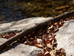 -黑河国家森林公园