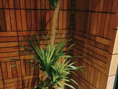 -杭州平安悦坊 PAFC LIVING