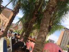 -亚马逊丛林水乐园