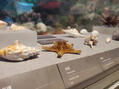 -中国（海南）南海博物馆
