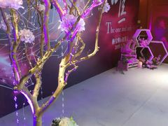 -大鸭梨烤鸭(金色漫香店)