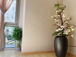 -酉嘉瑜伽YO+YOGA