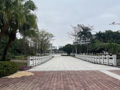 -顺德职业技术大学