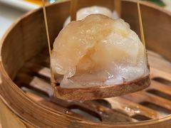 -金鼎轩(方庄天坛店)
