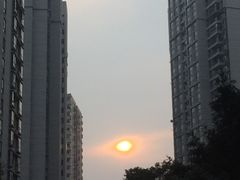 -新湖明珠城