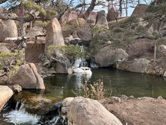 -罗红摄影艺术馆