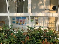-上海市徐汇区汇星幼儿园(北园)