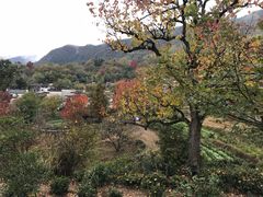 -塔川景区