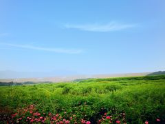 -光明小镇欢乐田园