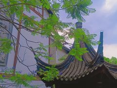 -龙潭水乡