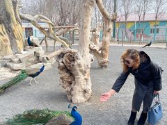 -水上乐园·欢乐世界