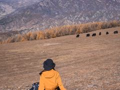 -灵山