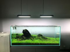 -ADA自然水景世界