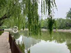 -团结湖公园