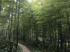 -南山风景名胜区