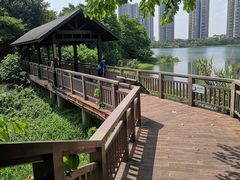 -广东花都湖国家湿地公园