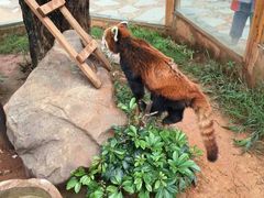 -昆明动物园