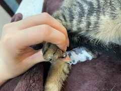 -宠爱国际维尼动物医院·疑难骨科·神经外科·肿瘤科(丰潭路店)