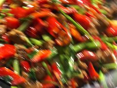 -熊猫家新派川菜(百里一·龙兴集店)