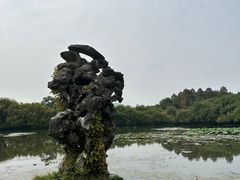 -西湖游船