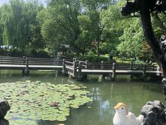 -西湖游船