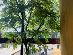 -金鼎轩(鸟巢北辰荟店)