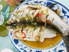 清蒸白丝鱼-状元楼(金溪路店)