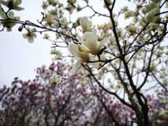 -白塘生态植物园