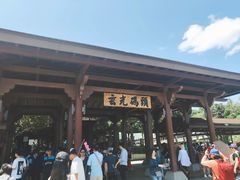 -金盆阿嬷香菇茶叶蛋(玄光店)