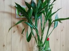 -沸腾鱼家(大尧三路店)