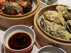 -杨氏青龙虾·羊蝎子(托乐嘉店)